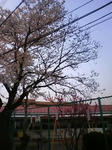 a3d892b0.jpg