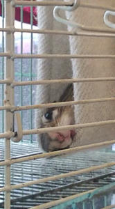 暇そうにしてこっちみんなｗ