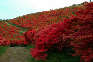 葛城山