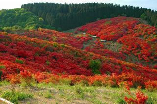葛城山