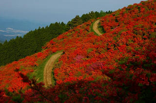 葛城山