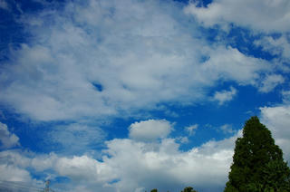 雲