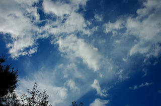 雲