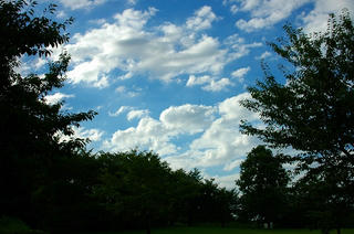 雲