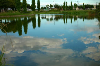 雲