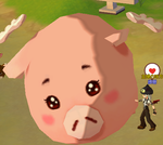 00000079.png