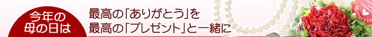 さくらんぼ佐藤錦24粒と生花カーネーションのセット【母の日限定】メッセージカード付き【予約販売: 2010年5月初旬より順次発送】