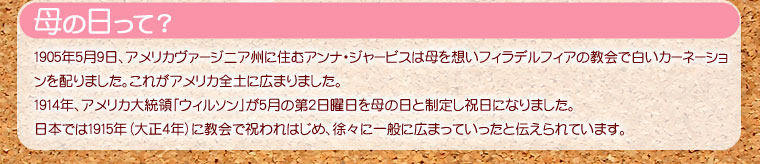 さくらんぼ佐藤錦24粒と生花カーネーションのセット【母の日限定】メッセージカード付き【予約販売: 2010年5月初旬より順次発送】