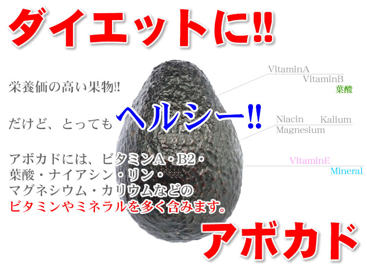 TV話題!!アボカドダイエット!! 「ハーフカットアボカド900ｇ」