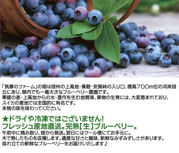 味に自信あり。信州上高地のふもと、産地直送最高級美味しいブルーベリー「生」