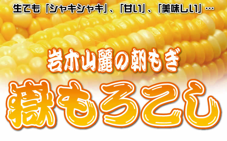 【生食可能　青森県産】　岩木山麓　嶽もろこし（嶽きみ）10本