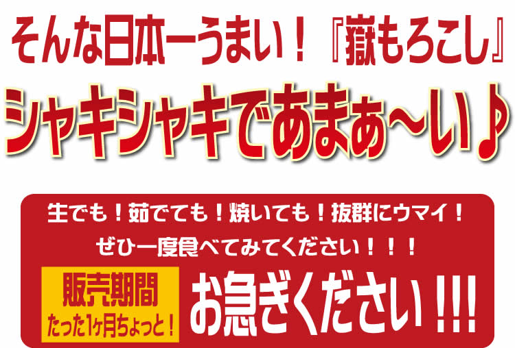 【生食可能　青森県産】　岩木山麓　嶽もろこし（嶽きみ）10本