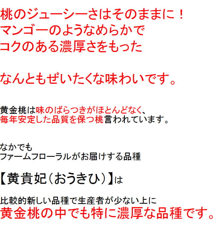 フルーツ王国福島からお届けする【幻の桃】! 黄金桃 2k【6玉～9玉】