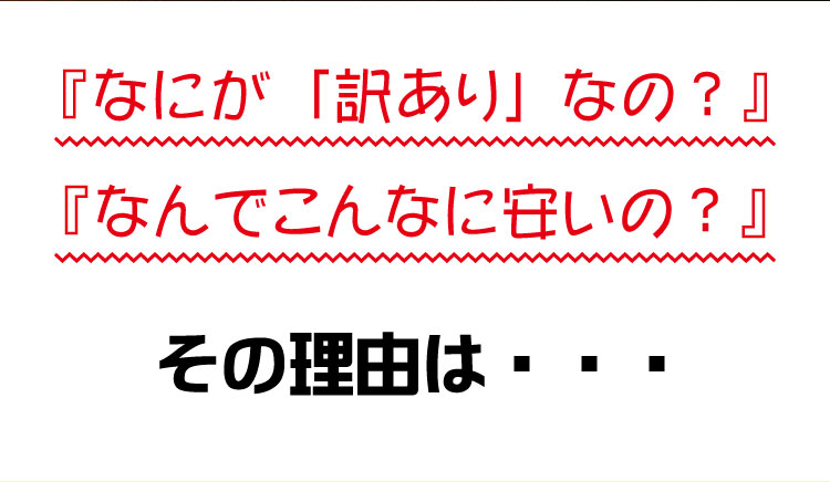 【訳あり】チーズケーキバー　1ｋｇ（18本～26本）