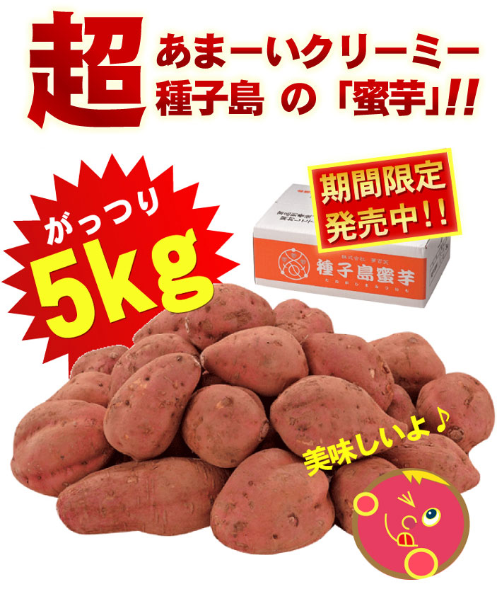 種子島蜜芋 5Kg