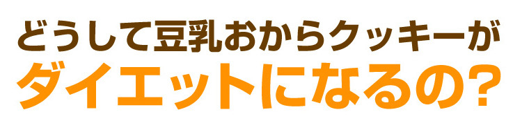 夏の豆乳おからクッキー 1kg