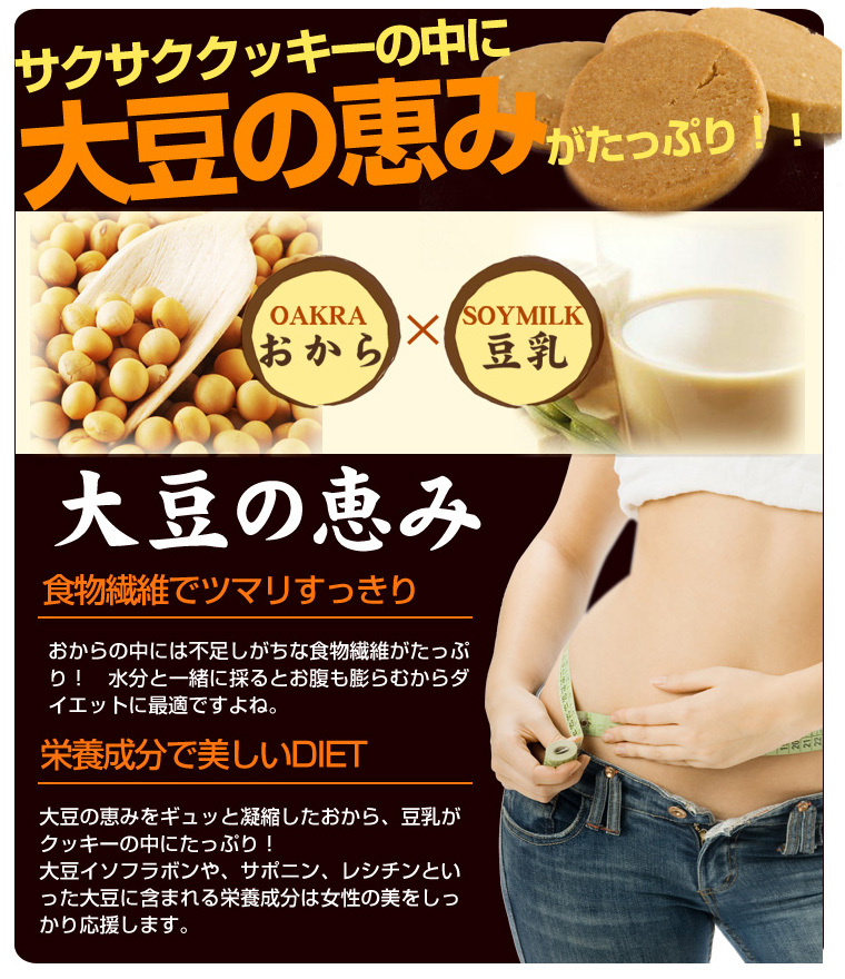 夏の豆乳おからクッキー 1kg