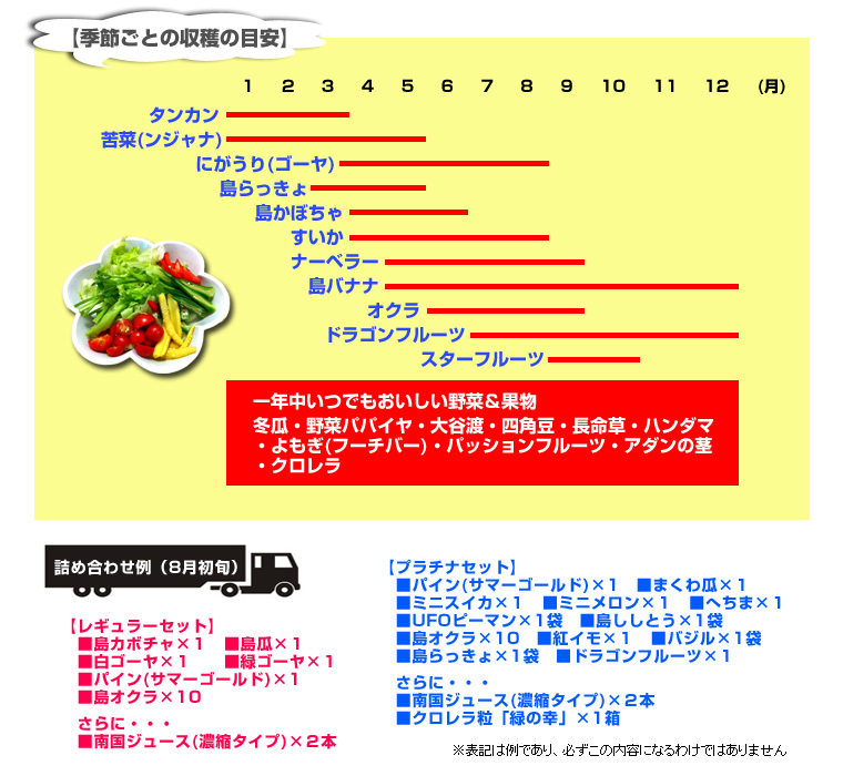 沖縄県石垣島【島やさい＆果物】詰め合わせ・プラチナセット 