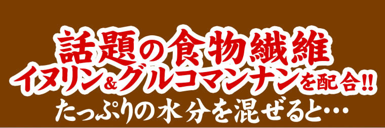 冬の豆乳おからクッキー 250g×4袋