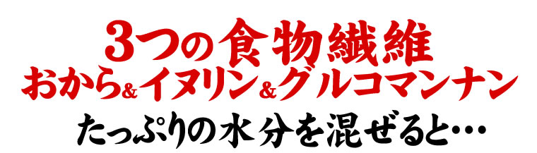 冬の豆乳おからクッキー 250g×4袋