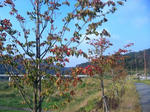 2009-9-23-2.jpg