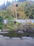 2009-9-26-2.jpg