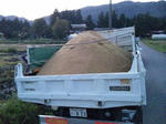 2009-10-12-2.jpg