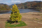 2009-10-27.jpg