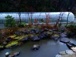 2009-11-21.jpg