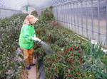 2009-11-29-2.jpg