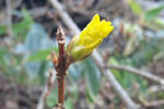 2009-12-14.jpg