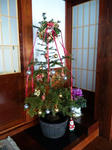 2009-12-24.jpg
