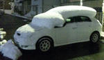 2010-1-23.jpg