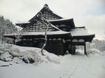 2010-3-30.JPG