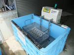 2010-4-1.jpg