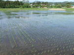 2010-6-6-1.jpg