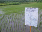 2010-6-18-1.jpg