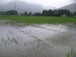 2010-6-29.jpg