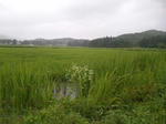2010-7-14.jpg