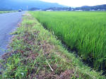 2010-7-23-1.jpg