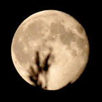 2010-7-27.jpg