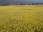 2010-8-31.jpg