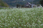 2010-9-10.jpg
