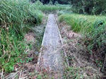 2010-9-19-3.jpg