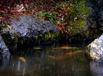 2010-12-12.jpg