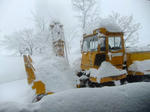 2011-1-22-1.JPG