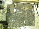 2011-2-1-2.jpg