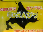 2011-2-10.JPG