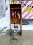 2011-2-26-1.JPG