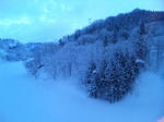 2011-3-9.JPG